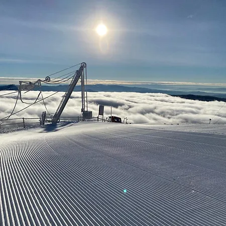 Appartamento Petris - Family&friends - View *