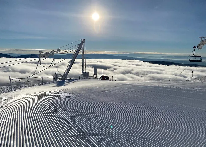 Apartamento Petris - Family&friends - View *